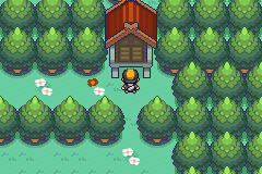 pokemon gs chronicles forest