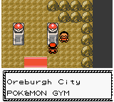 pokemon gold sinnoh gym