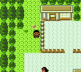 pokemon bronze 2 city