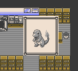 pokemon bronze 2 starter