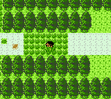 pokemon bronze 2 grass