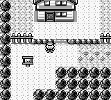 pokemon brown town