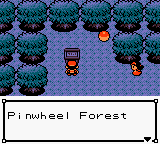 pokemon gold unova forest