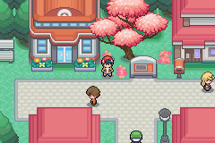 pokémon kosmo sakura city