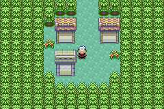 pokemon emerald mini start