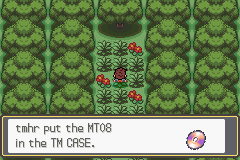 pokemon memories gba 06
