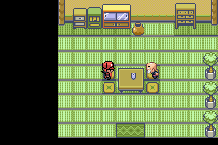 pokemon obscura house