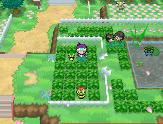 pokemon iridium nds