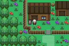 pokemon norman adventures gba