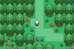 pokemon norman adventures gba