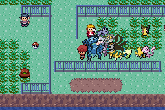 pokemon quetzal arceus team