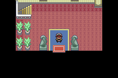 pokemon gaia hotel