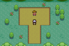 pokemon gaia lider fernando