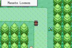 pokemon gaia meseta loamas