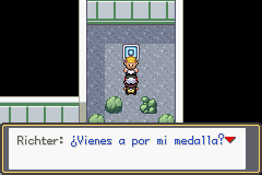 pokemon gaia ritcher 8gym