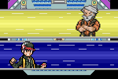 pokemon gaia hershell champion