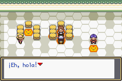 pokemon gaia gym leader