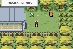 pokemon gaia pantano batalla