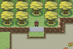 pokemon gaia pantano batalla