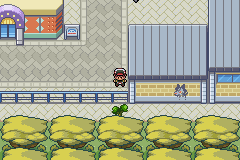 pokemon gaia ciudad telmurk