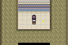 pokemon gaia hombre arbok
