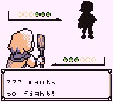pokemon maize gbc