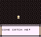 pokemon maize gbc