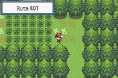 pokemon light platinum ruta 401