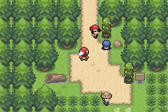 pokemon light platinum ruta