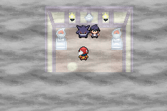 pokemon light platinum 4 gym