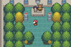 pokemon light platinum 1 gym