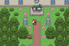 pokemon light platinum esmeralda gym