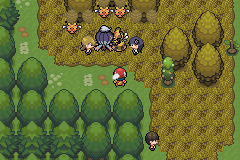 pokemon light platinum inhore woods team steam