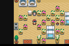 pokemon light platinum laboratorio botanico