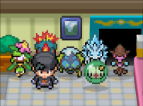 pokemon heartgol generations nds