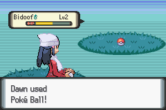 Pokémon Sharp Diamond Smooth Pearl