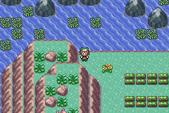 pokemon under the gba