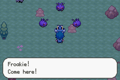 pokemon xenon
