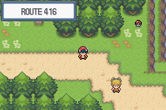 pokemon light platinum ruta 416