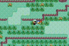pokemon triver