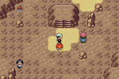 pokemon triver