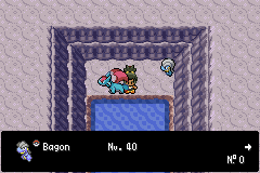 pokemon quetzal bagon