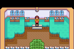 pokemon morado oscuro