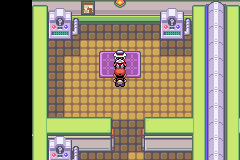 pokemon morado oscuro