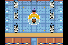 pokemon eclat pourpre