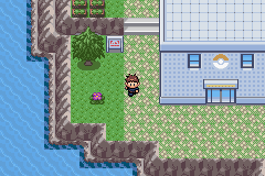 pokemon battle fire gba