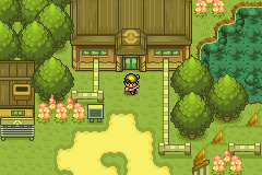 pokemon dark cry the legend of giratina