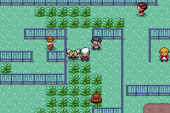 pokemon esmeralda recargado following pokemon