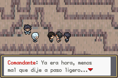 pokemon lionheart