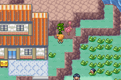 pokemon naranja gba